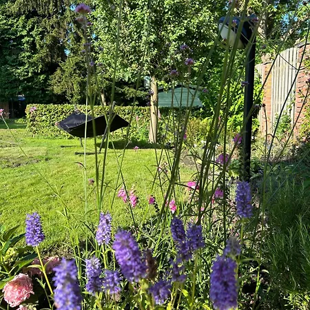 House With Swimming Pool Near Maastricht Bunde