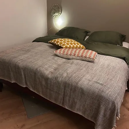 House With Swimming Pool Near Maastricht