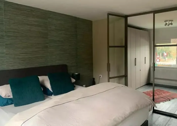 House With Swimming Pool Near Maastricht