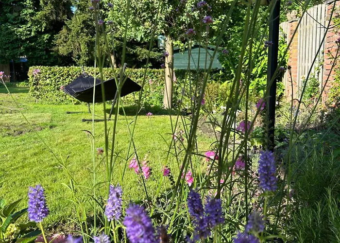 House With Swimming Pool Near Maastricht Bunde