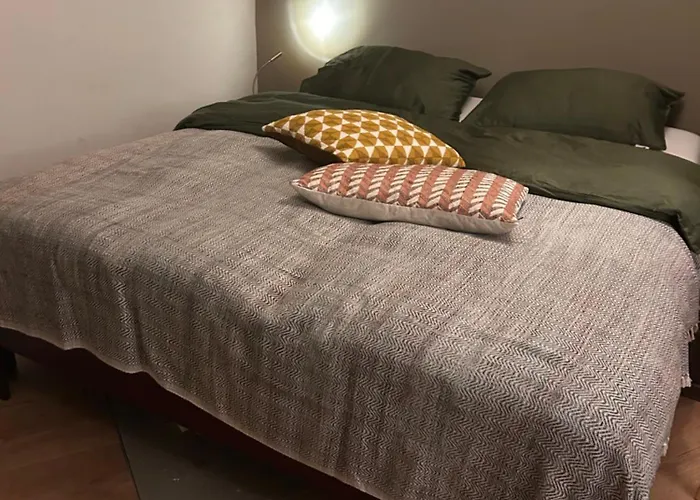 House With Swimming Pool Near Maastricht